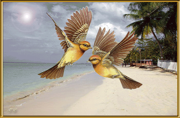 красивые Анимашки Любовь у птиц