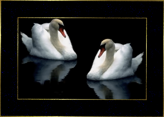 красивые Анимашки Лебеди