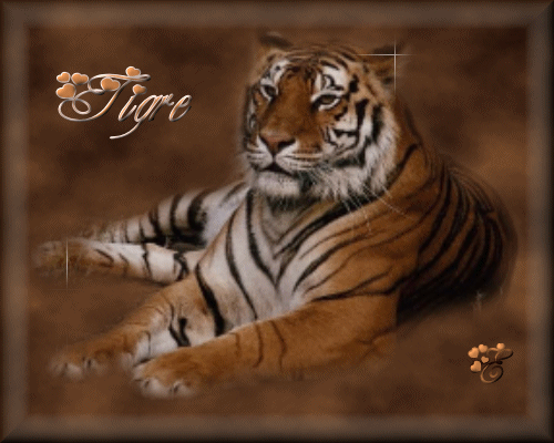 красивые Анимашки Тигр
