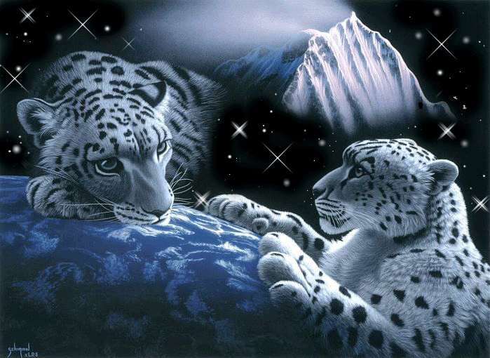 красивые Анимашки Леопарды