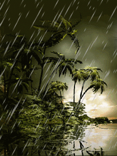 Анимация дождя на острове с пальмами