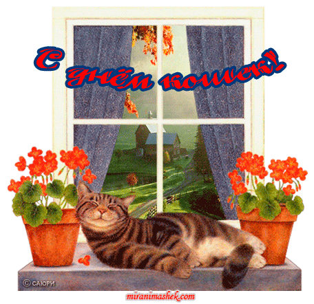 красивые Анимационные открытки День кота